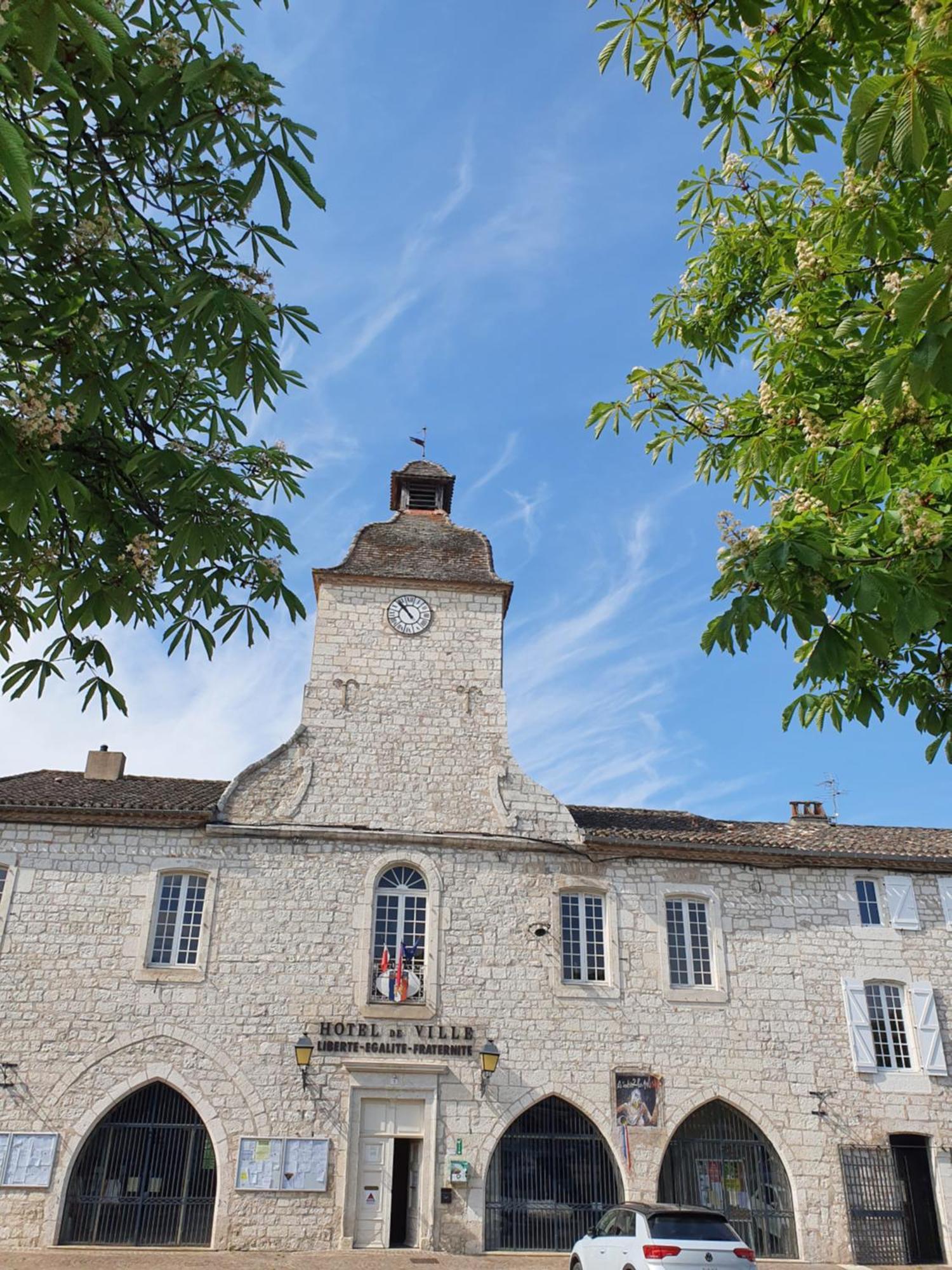 La Cour Saint Louis Bed & Breakfast Castelnau-Montratier Bagian luar foto
